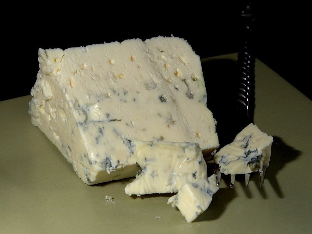 danish blue cheese blue mold mold free photo
