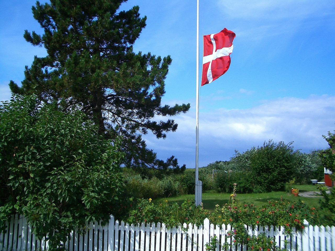 danish flag forest trees free photo