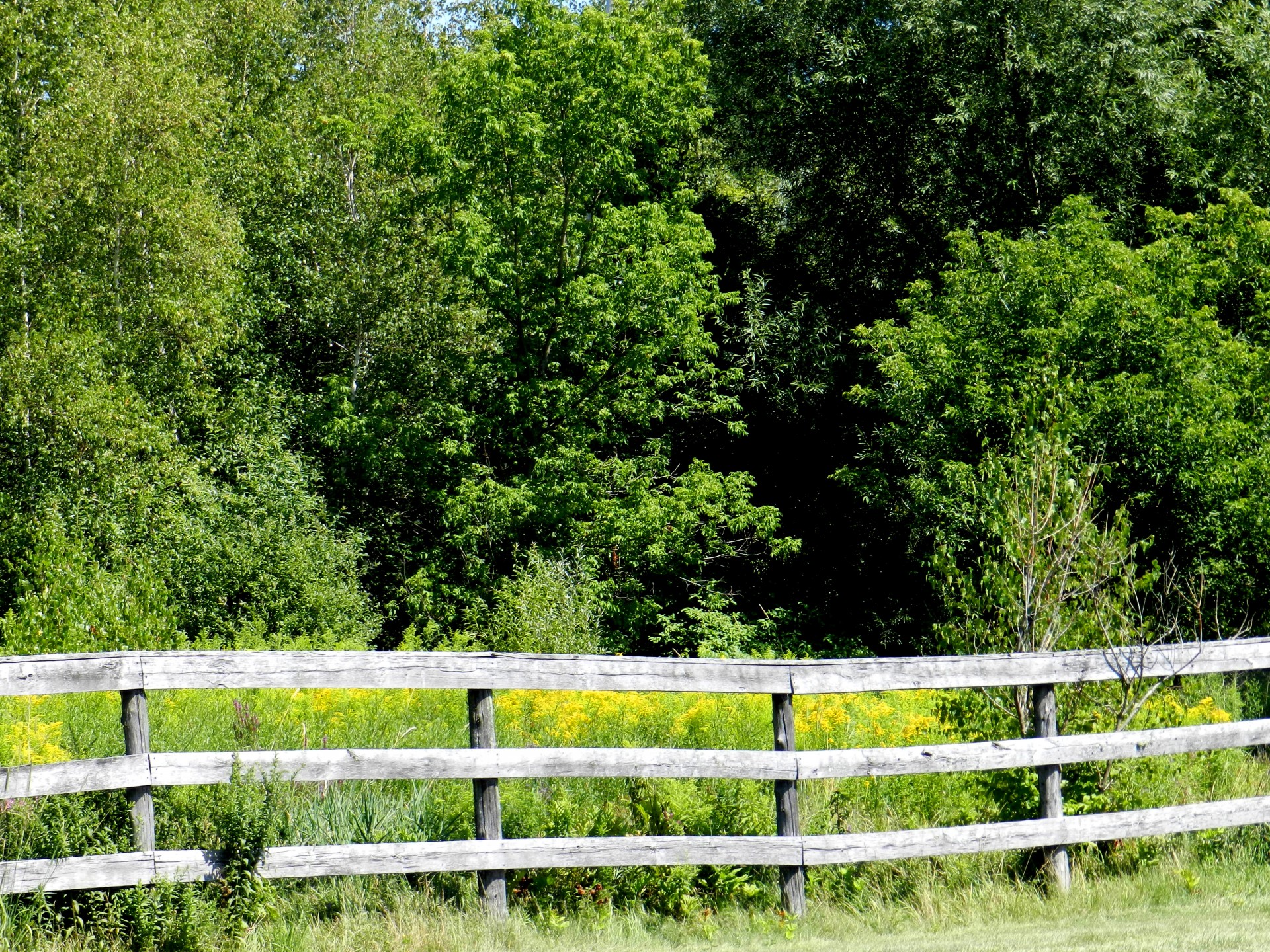 fence field countryside free photo