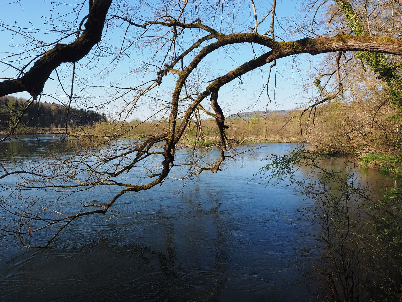 danube river gewaesse free photo