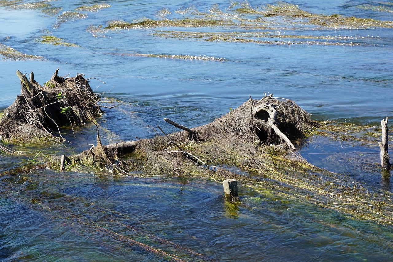 danube river water free photo