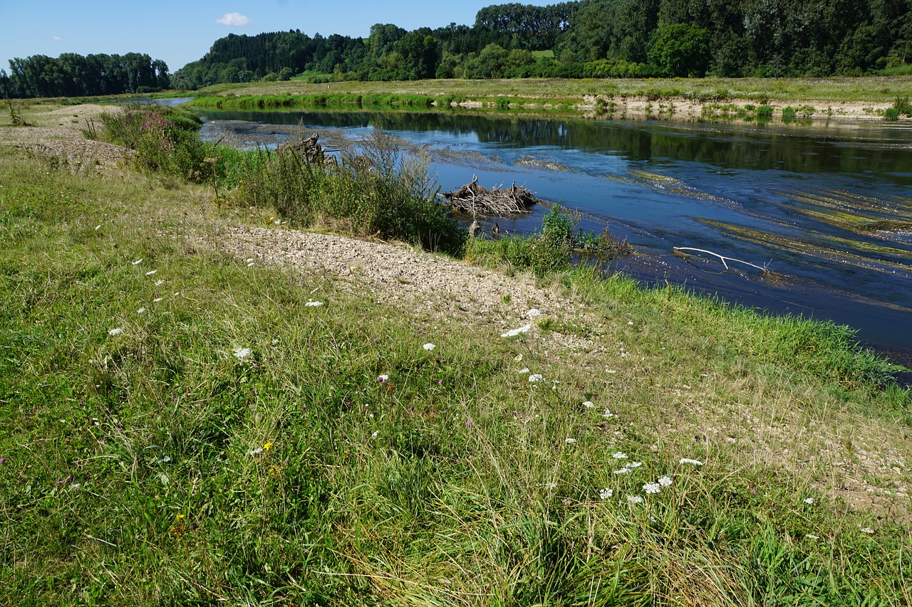 danube river water free photo