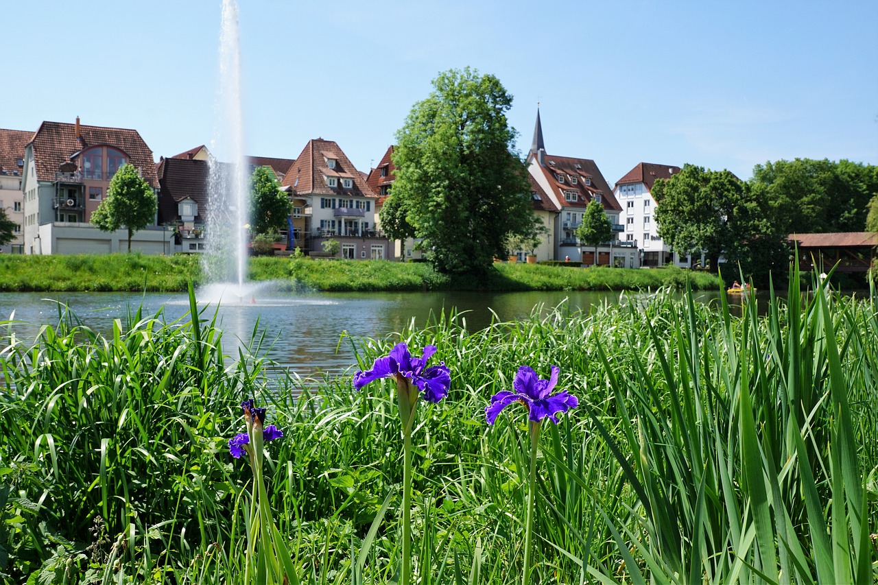 danube tuttlingen green free photo