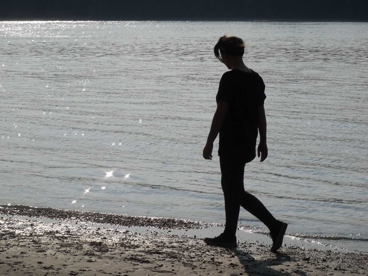 danube river shadow free photo