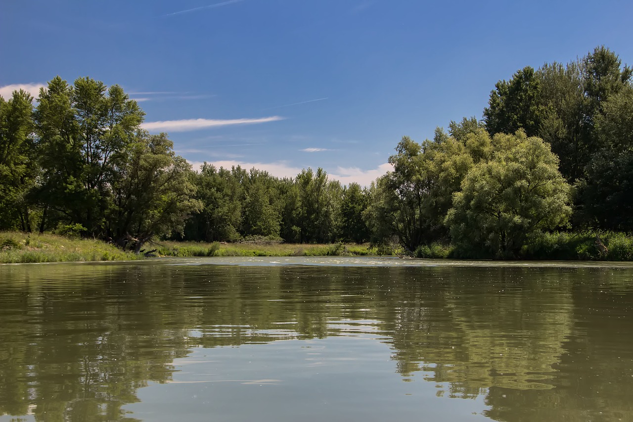 danube slovakia nature free photo