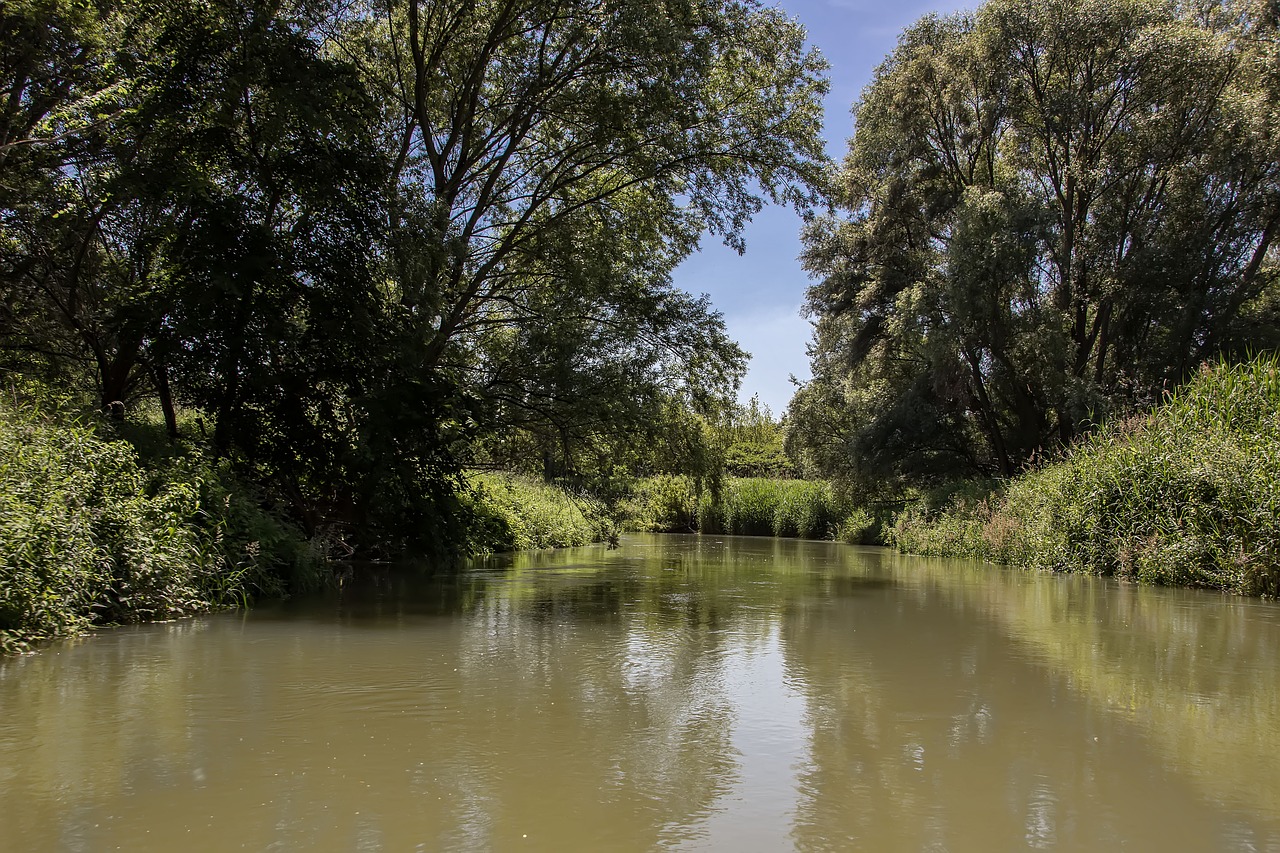 danube slovakia nature free photo