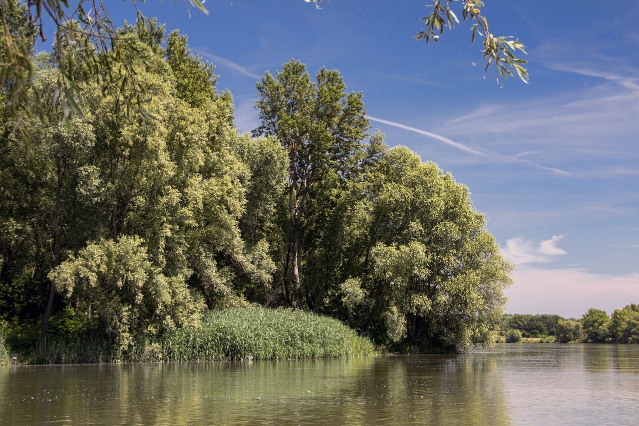 danube slovakia nature free photo