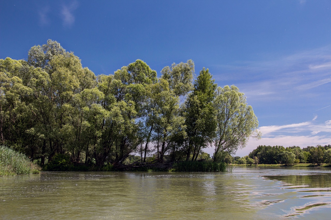 danube slovakia nature free photo