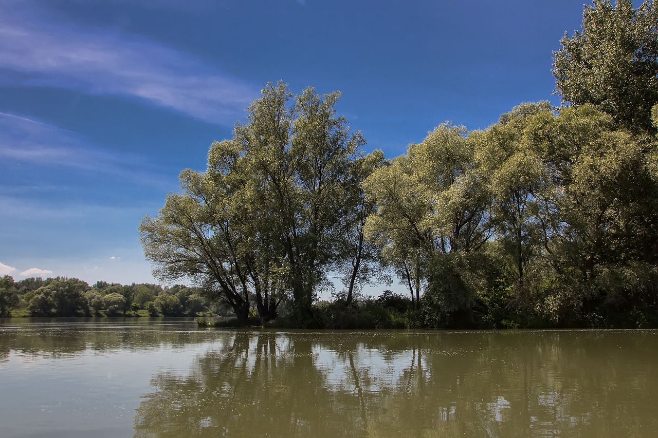 danube slovakia nature free photo