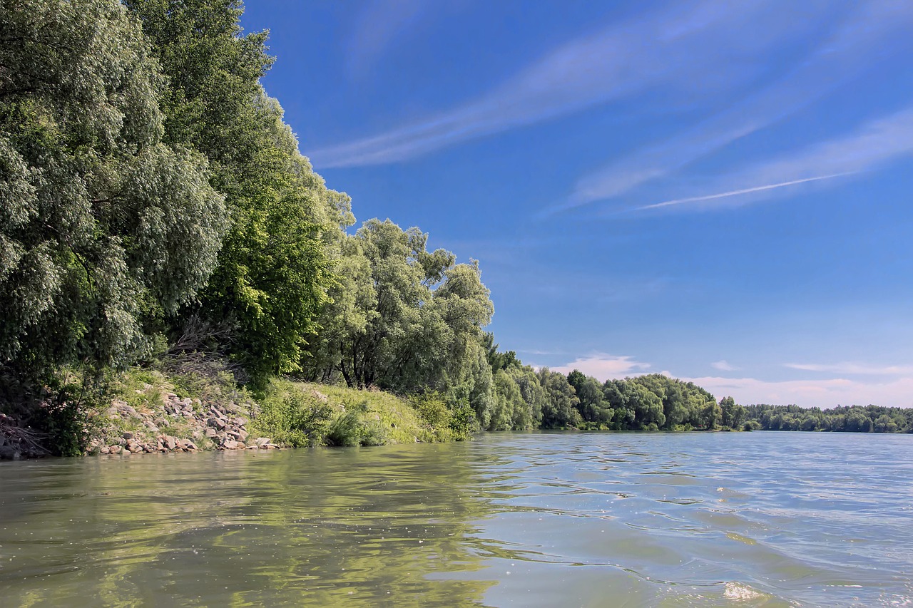 danube slovakia nature free photo