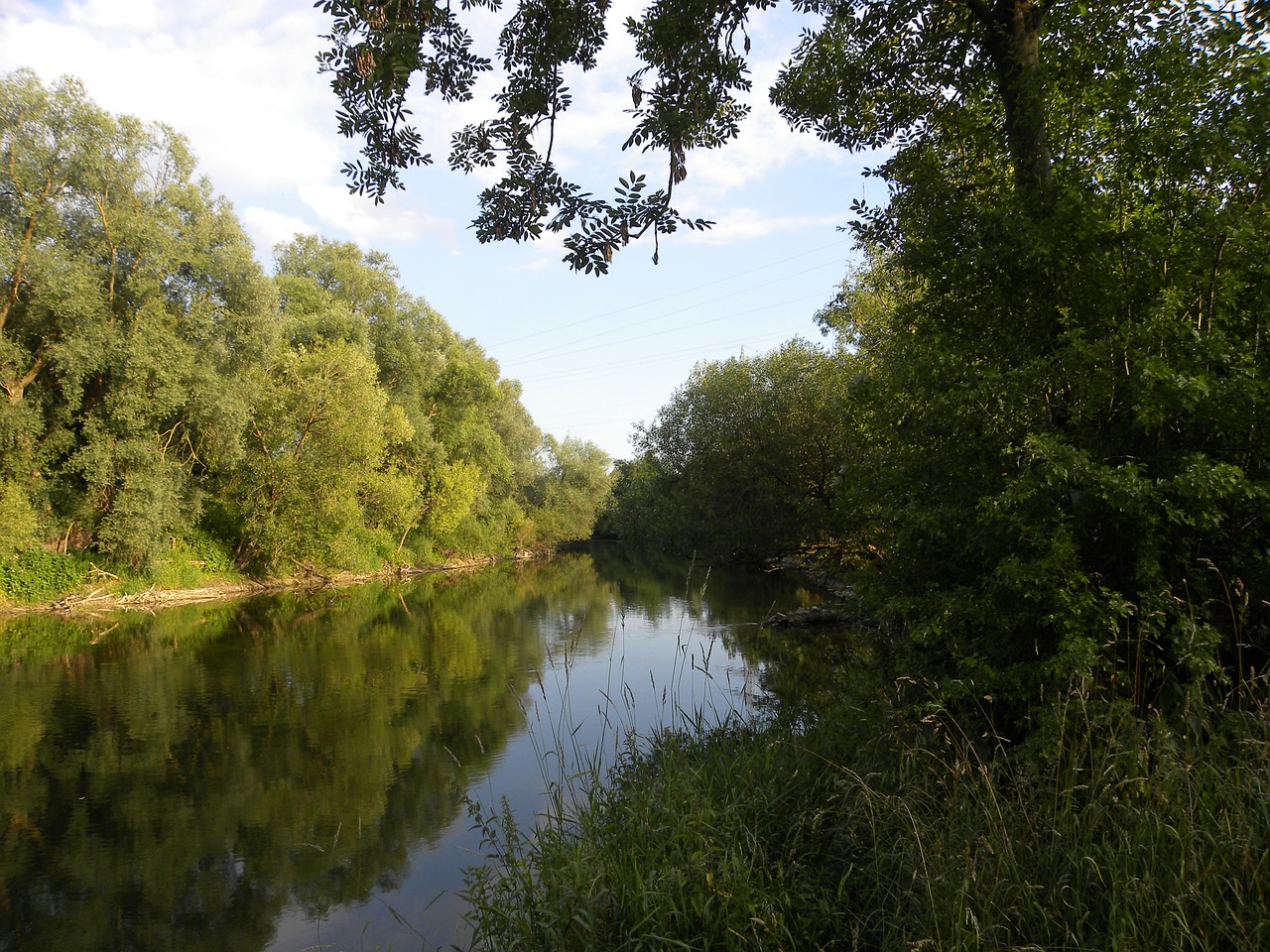 danube water bank free photo