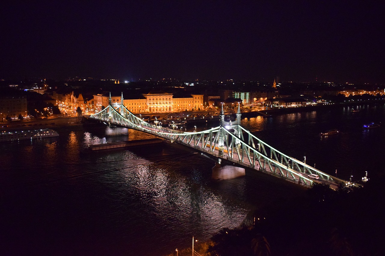 danube  river  bridge free photo