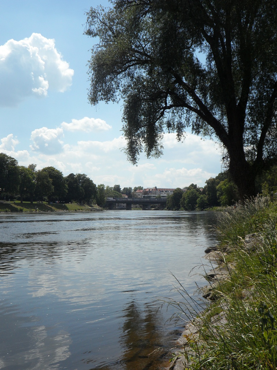 danube idyll idyllic free photo