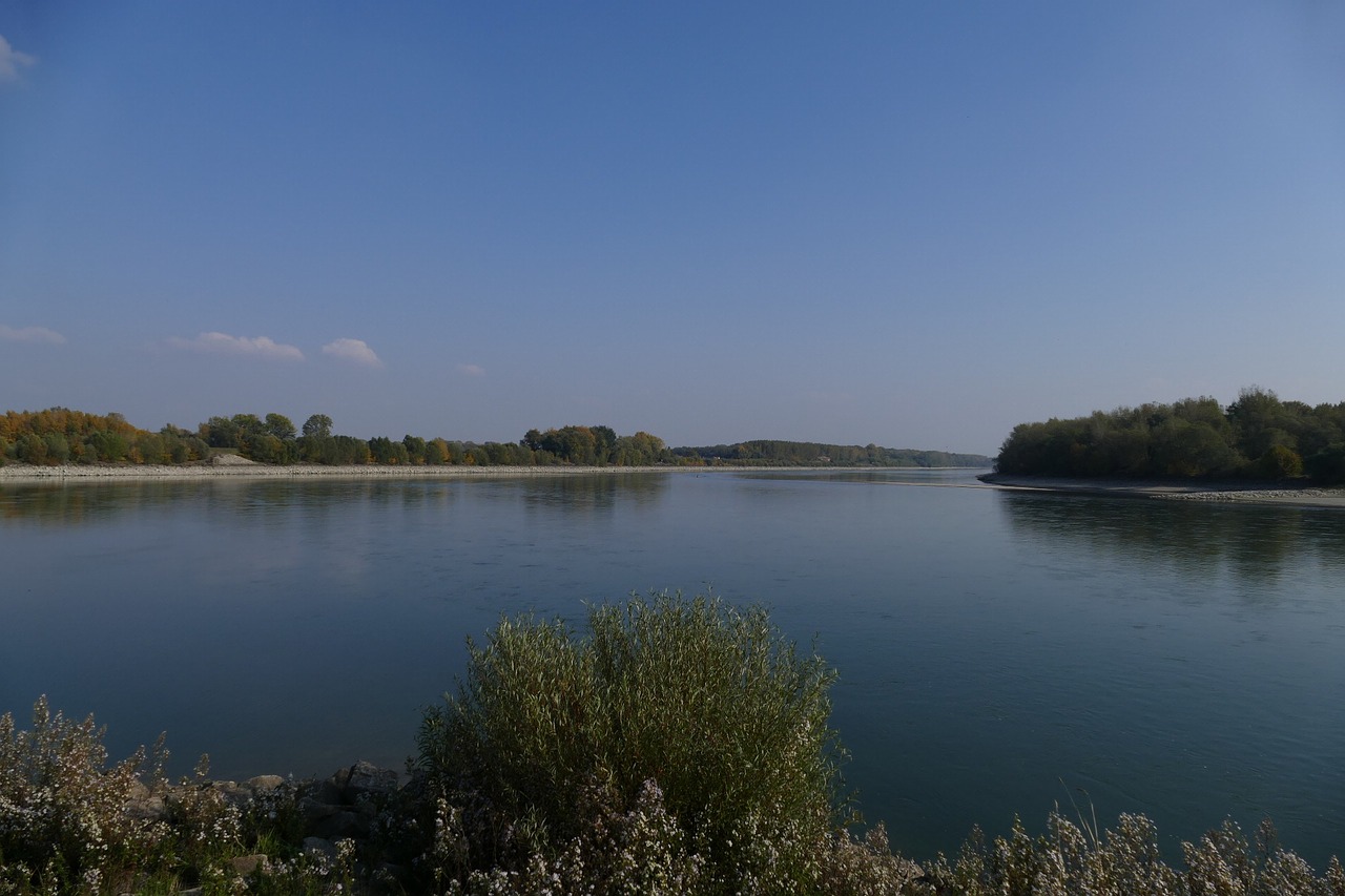 danube  river  water free photo