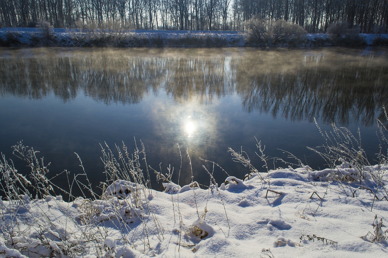 danube fog river free photo