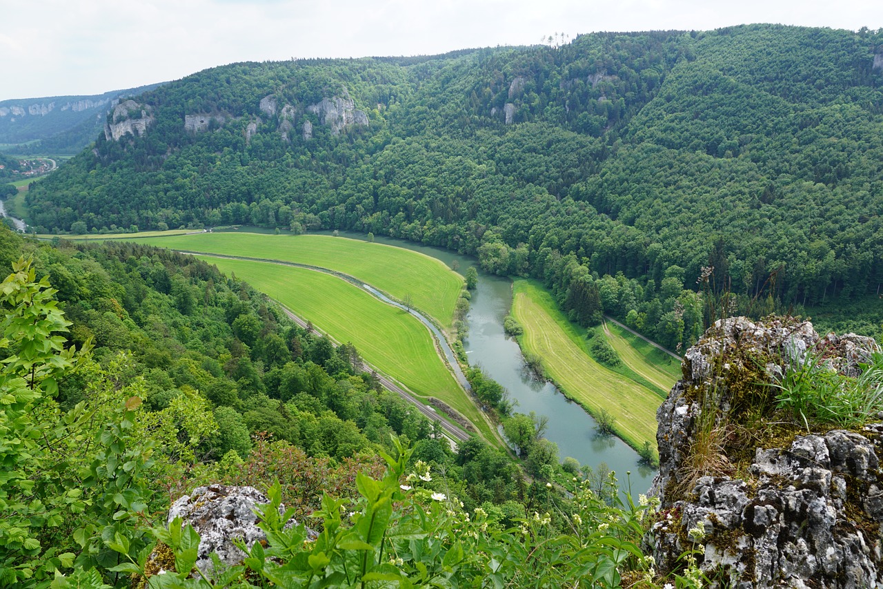 danube nature rock free photo