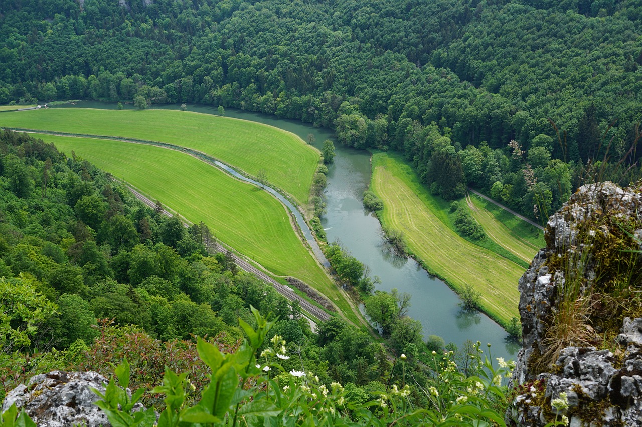 danube nature rock free photo