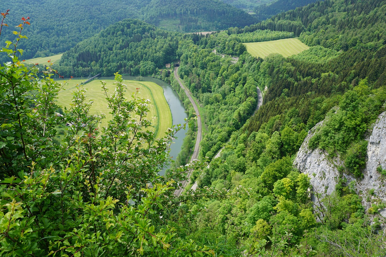 danube nature rock free photo