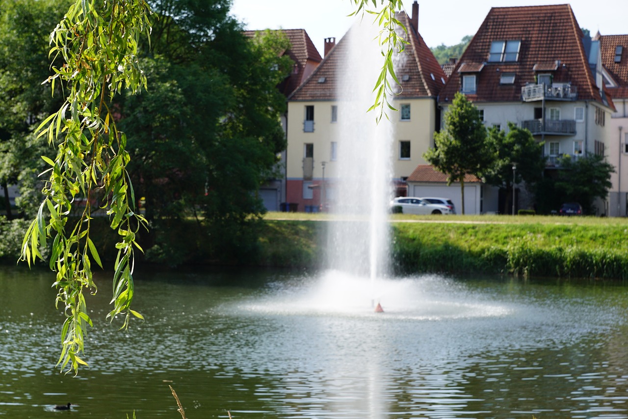 danube river plant free photo