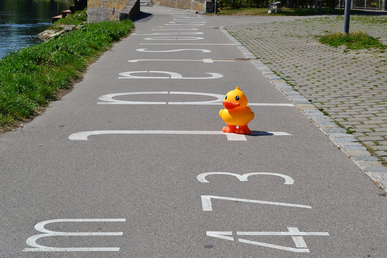 duck toys bank free photo