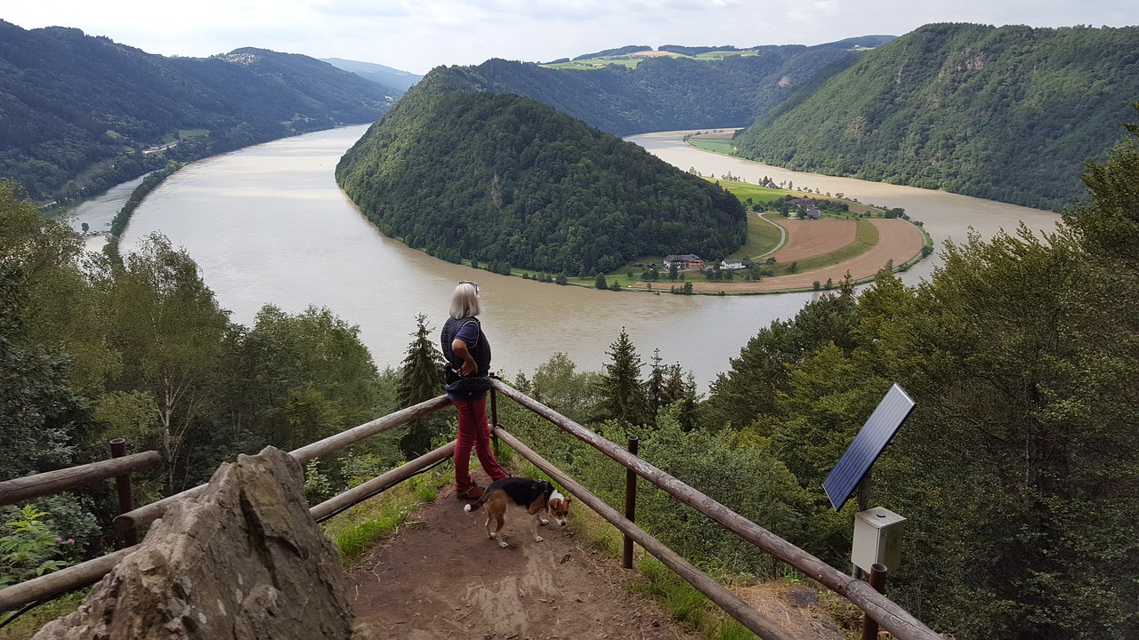 danube loop danube upper austria free photo