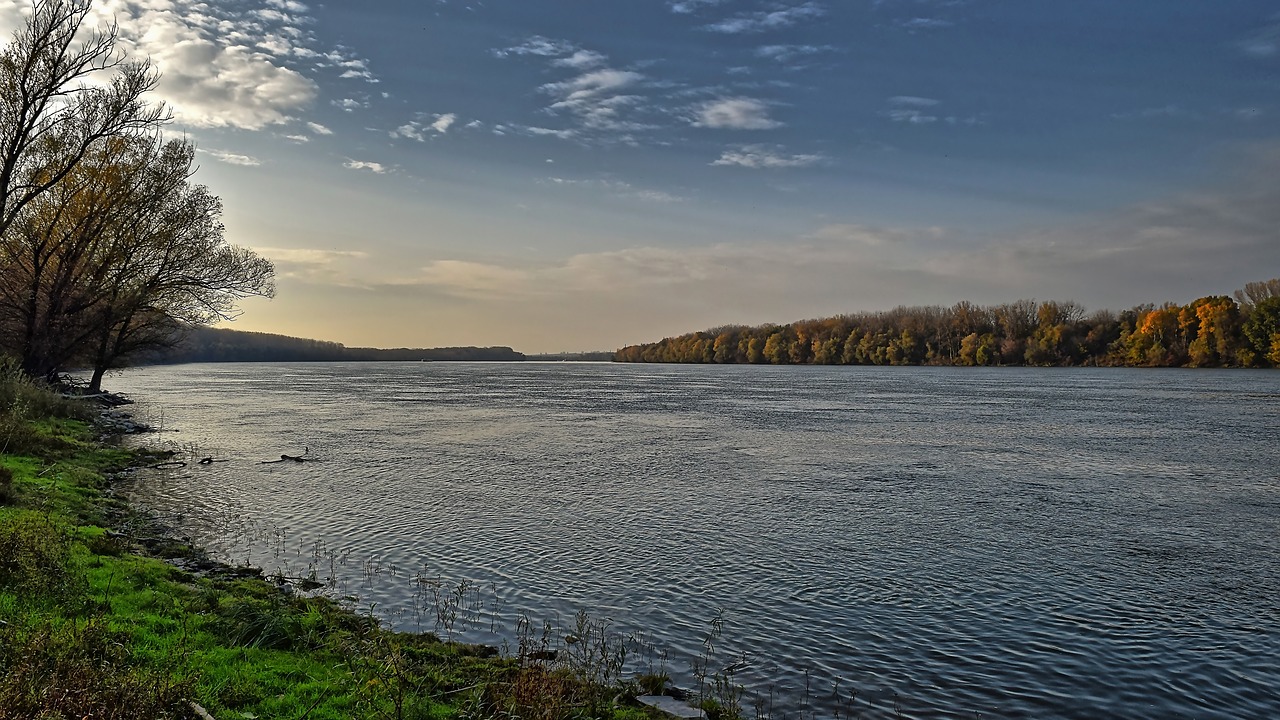 danube river  powerful  wide free photo