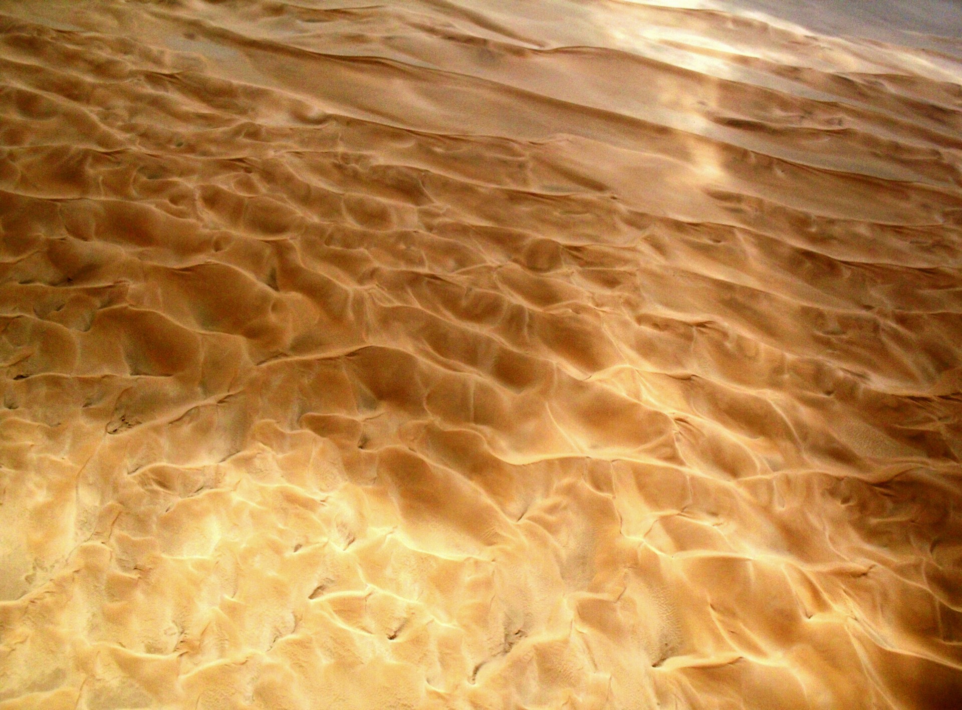 desert sand rippled free photo