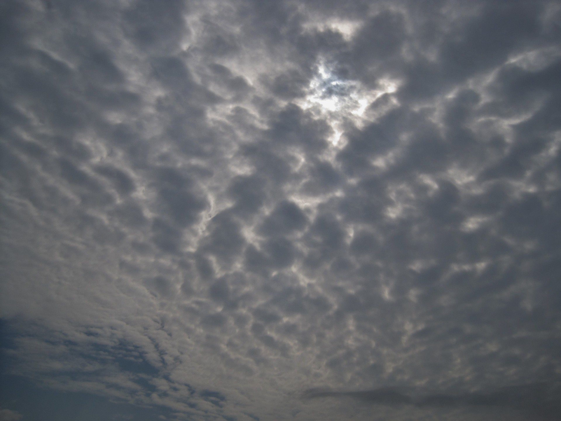 sky clouds dapples free photo