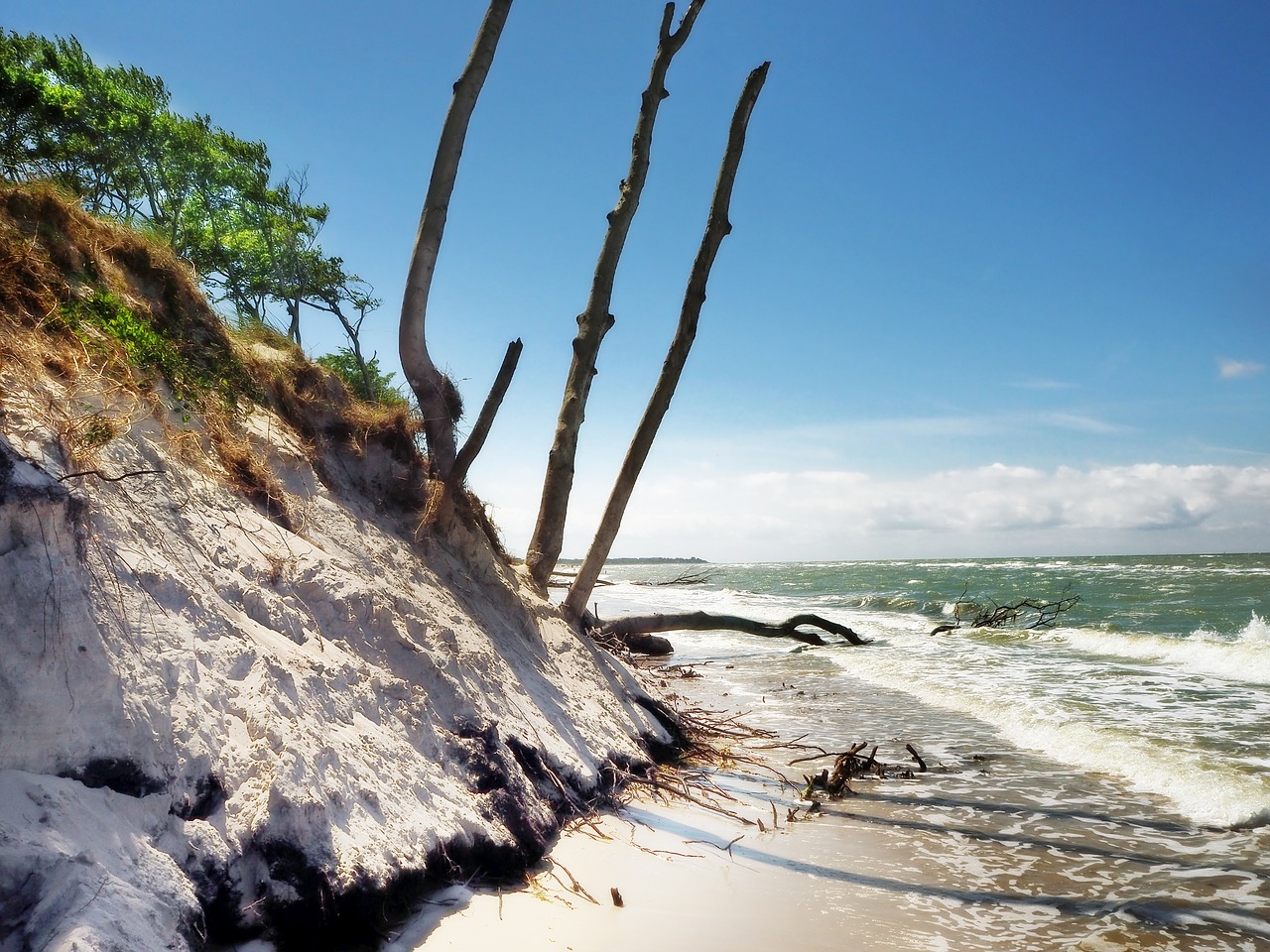 darß baltic sea coast free photo