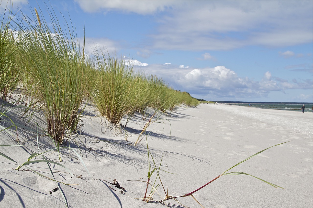 darß baltic sea island free photo