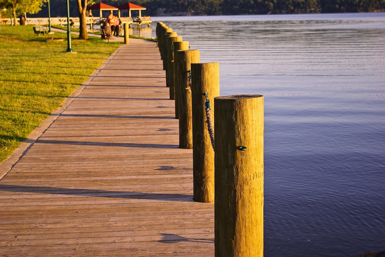 dardanelle state park dock  dock  pilings free photo