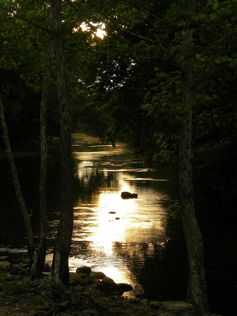 dark sunset water free photo