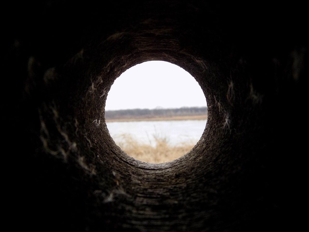 dark hole wooden free photo