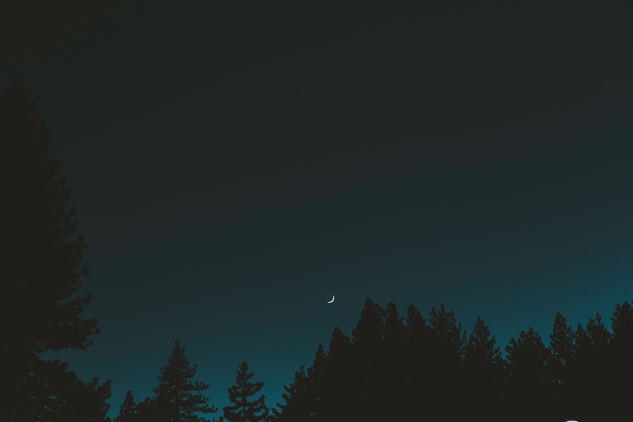 dark night sky free photo