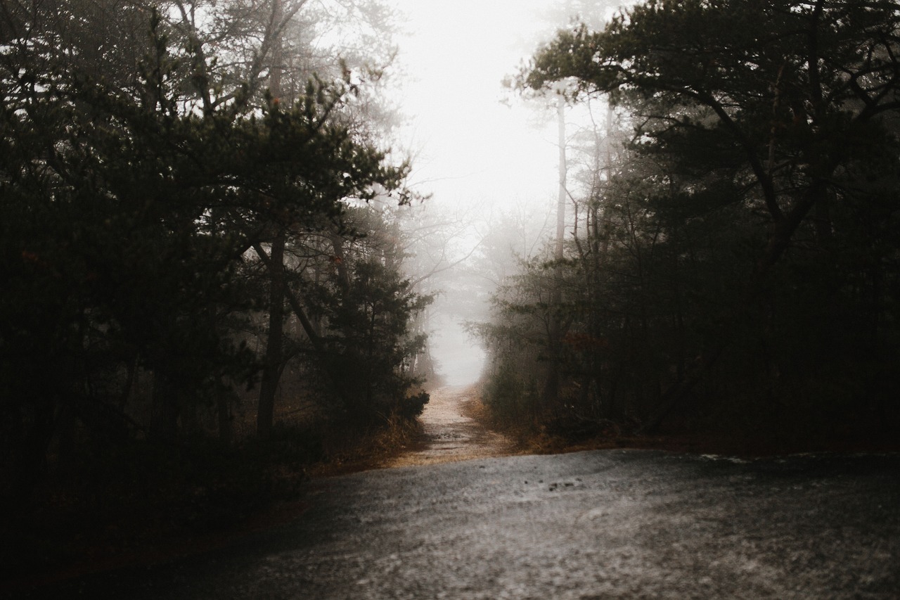 dark fog outdoor free photo