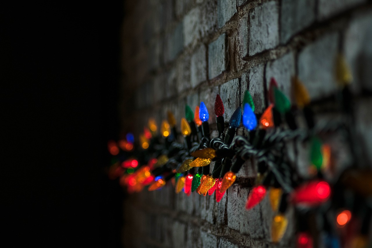 dark wall colorful free photo