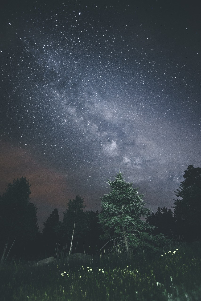 dark night sky free photo