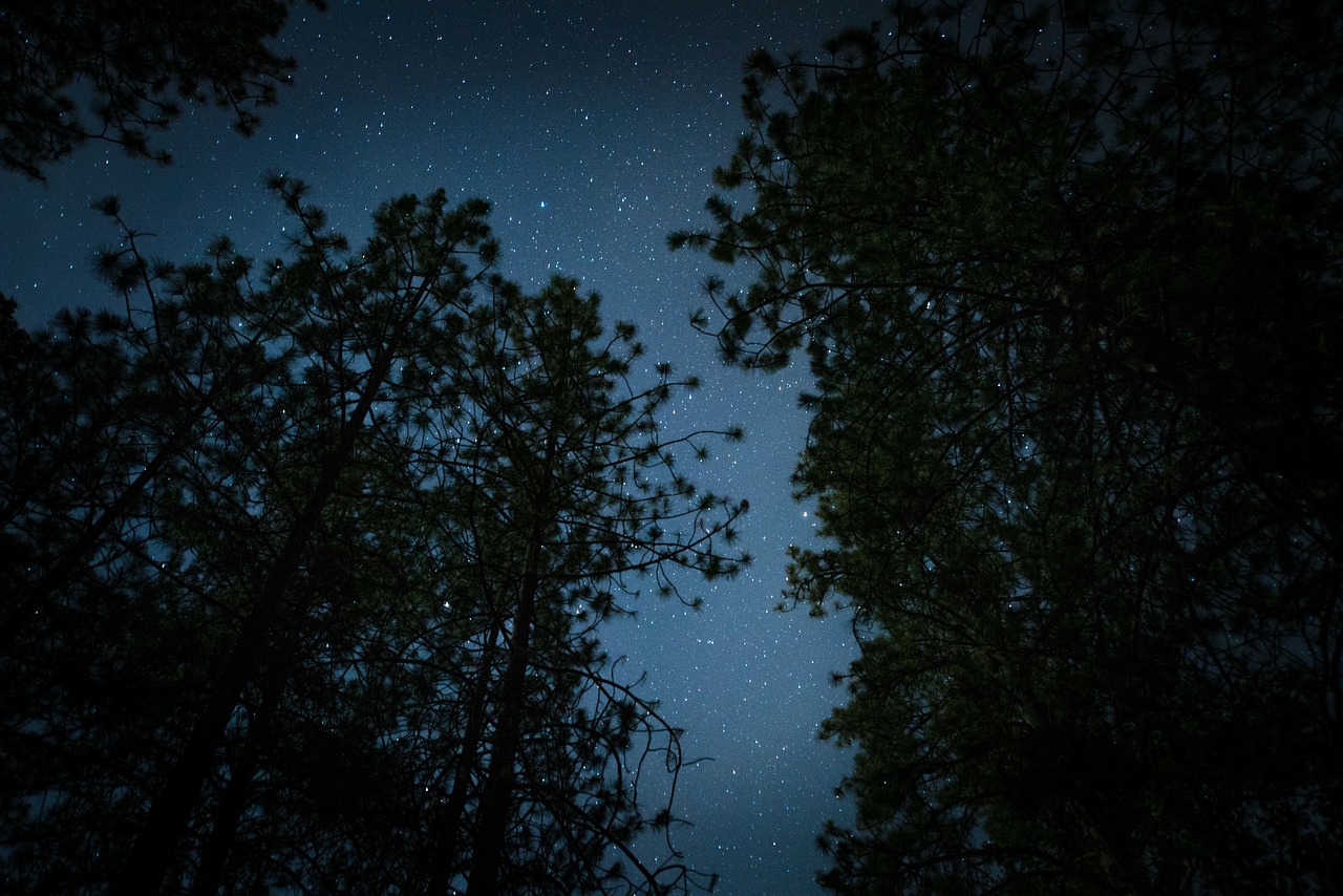 dark night stars free photo