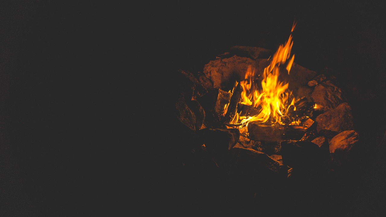 dark night bonfire free photo