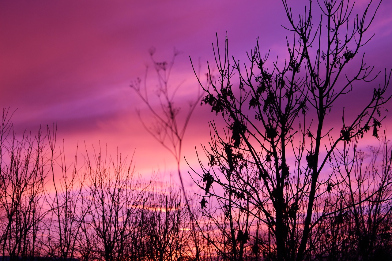 dark sunset purple free photo