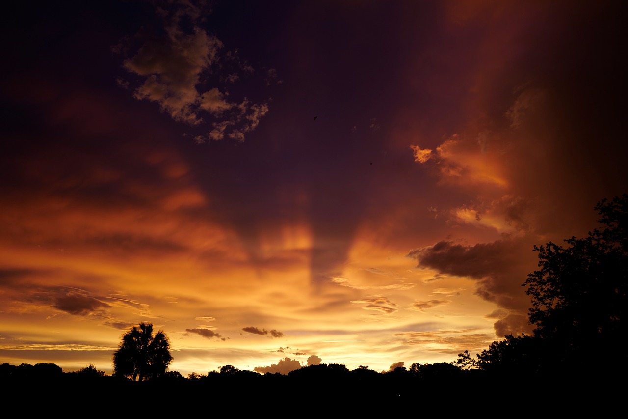 dark sunset clouds free photo