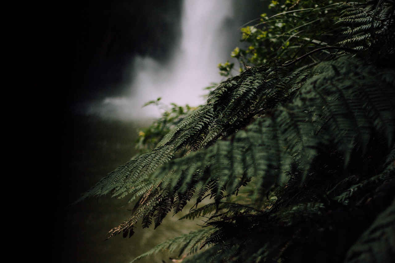 dark waterfall nature free photo