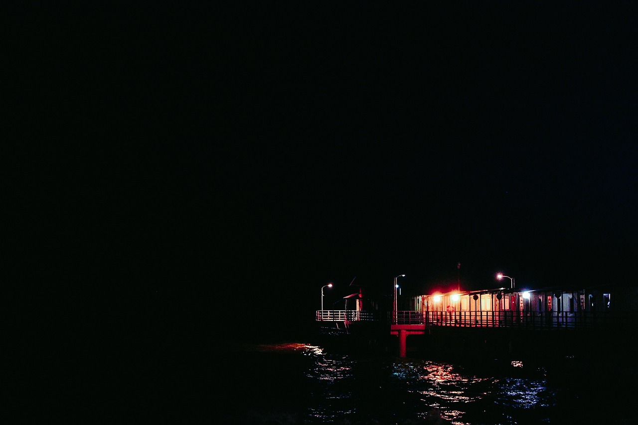 dark night sea free photo