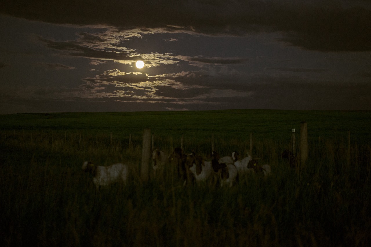 dark night clouds free photo