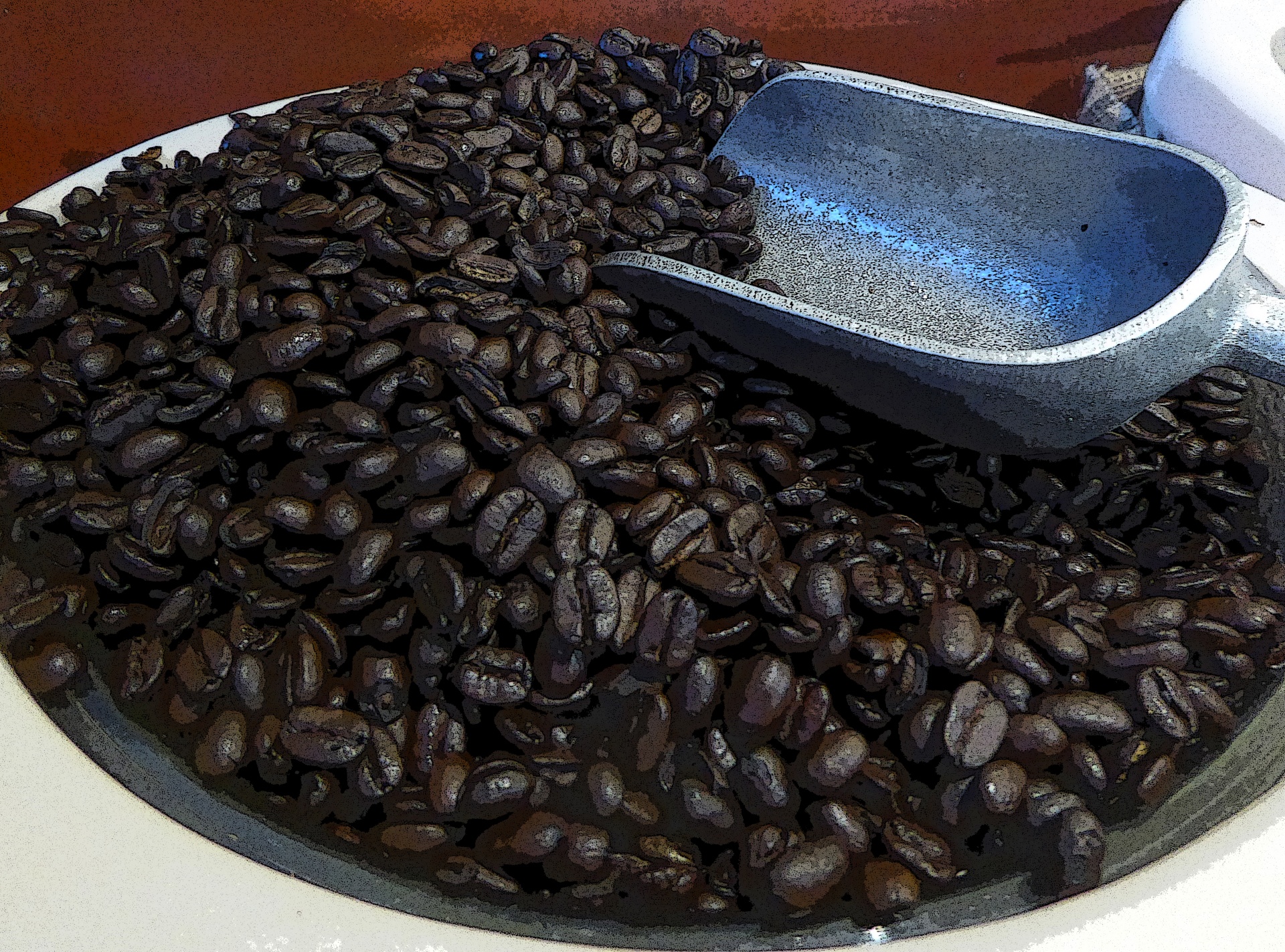 coffee beans coffee beans free photo