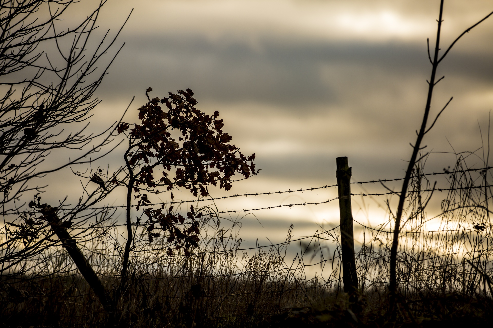 dark landscape nature free photo