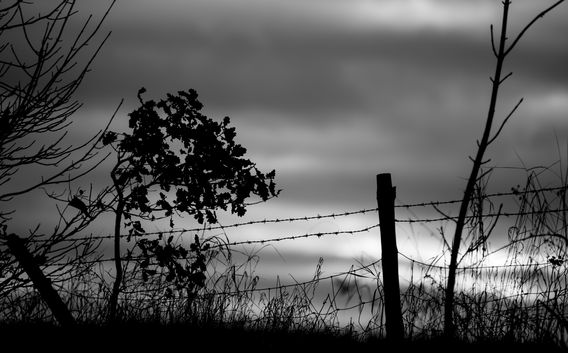 dark landscape nature free photo