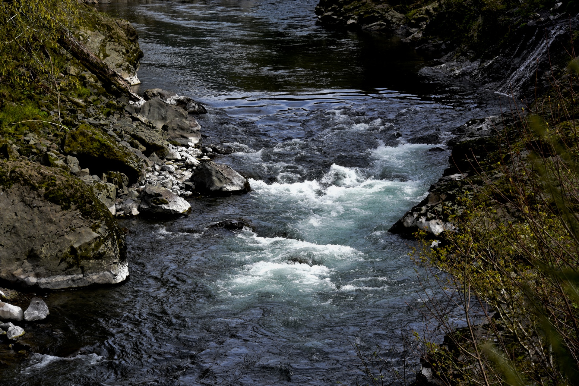 river rapids oregon free photo