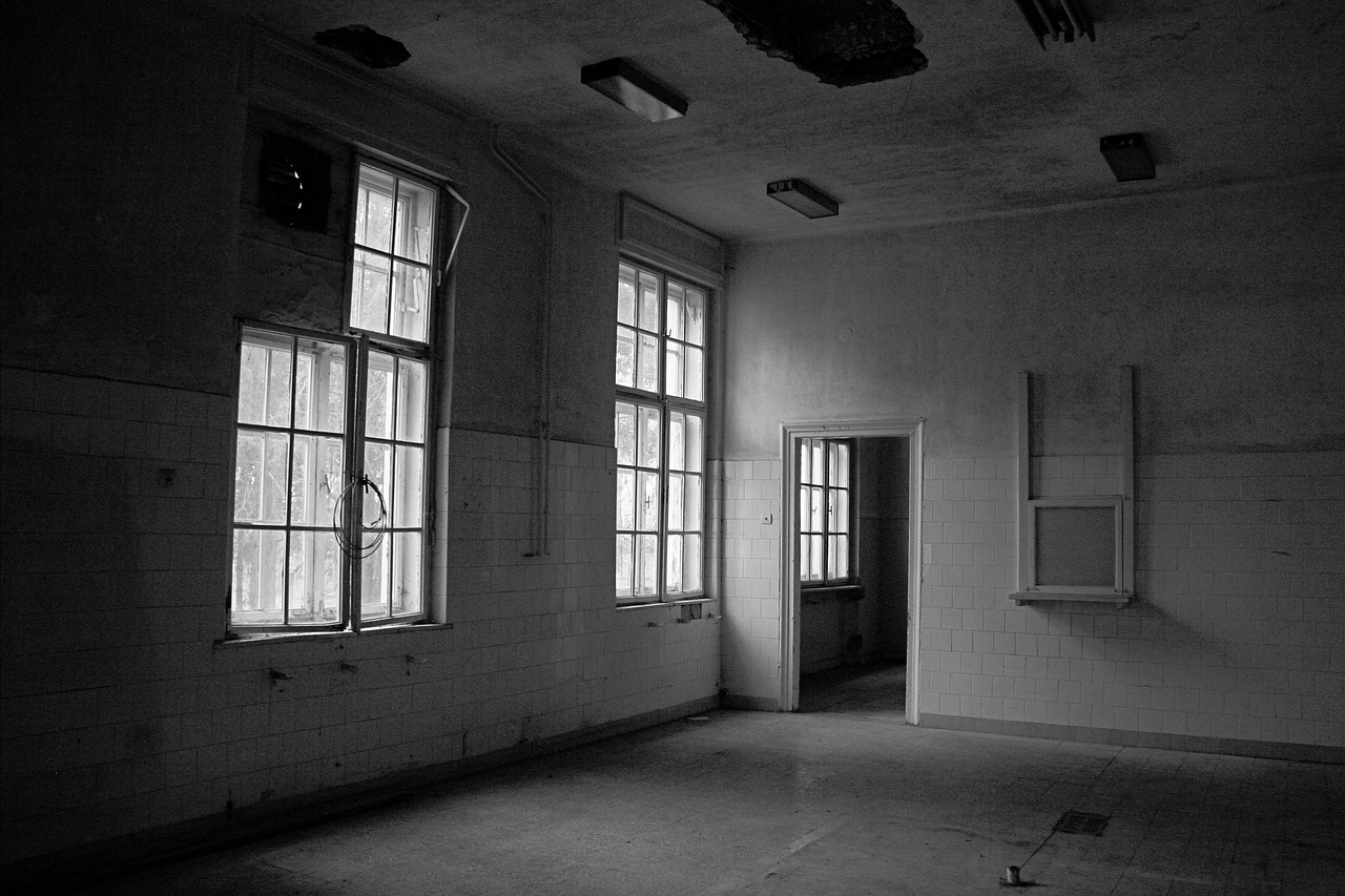 darkness  window  windows free photo