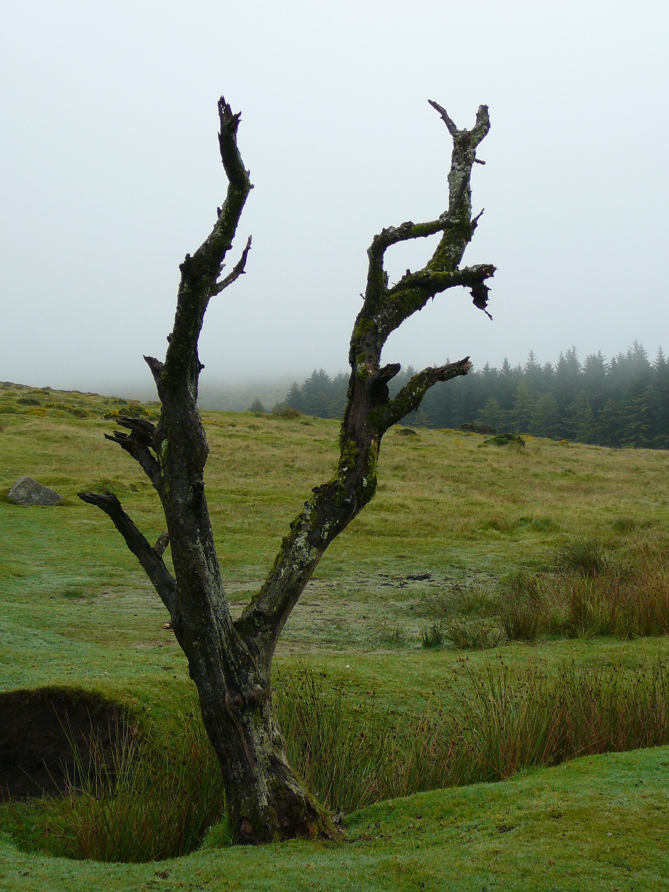 dartmoor mystical england free photo